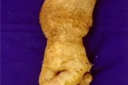 sree dhanya