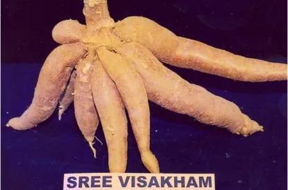 sree visakham