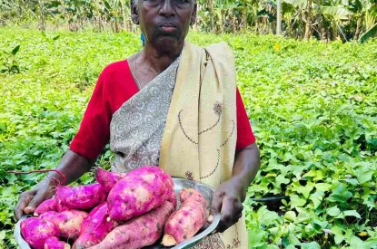attapadi