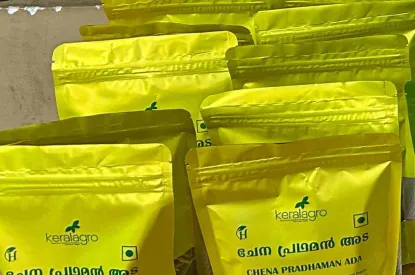 Elephant Foot Yam (Chena) Pradhaman Ada
