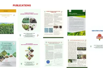 publications