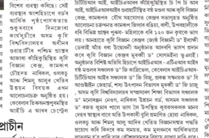 assam,