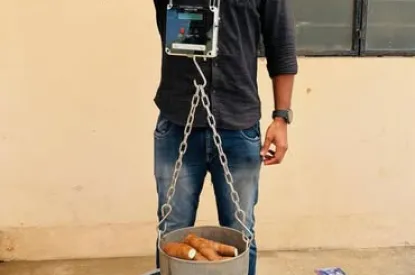 CTCRI Develops Electronic Starch Indicator for Onsite Cassava Starch Estimation