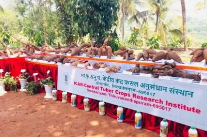 CTCRI PARTNERS WITH OPEN JAIL FOR HORTICULTURE THERAPY INITIATIVE